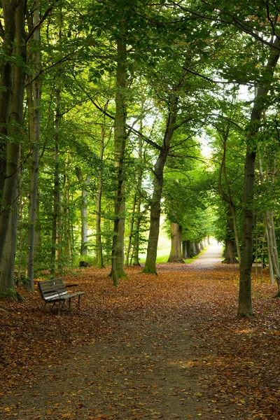 Słoneczne jesienne dni w parku w Kopenhadze Area — Zdjęcie stockowe