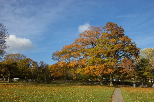 哥本哈根地区公园阳光明媚的秋日 — 图库照片