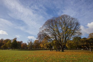 Kopenhag Alan parkta güneşli sonbahar günleri