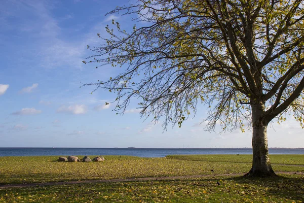 Вид на Осінній Парк Черлотенлунд, Данія — стокове фото