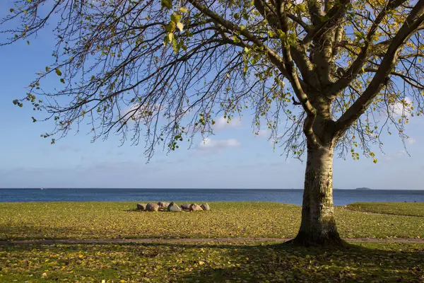 Őszi kilátás a Cherlottenlund Beach Park, Dánia — Stock Fotó
