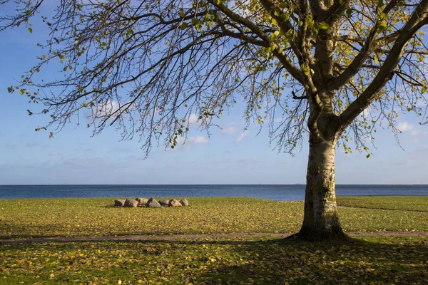 Vue d'automne du parc de plage de Cherlottenlund, Danemark — Photo