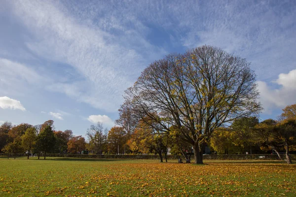 Dias ensolarados de outono no parque da área de Copenhague — Fotografia de Stock