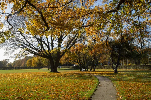 Sunny autumn days in park of Copenhagen Area — Stock Photo, Image