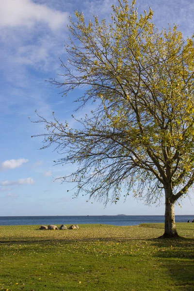 Herbst Blick auf cherlottenlund beach park, Dänemark — Stockfoto