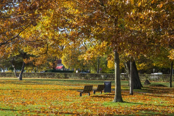 Dias ensolarados de outono no parque da área de Copenhague Imagens Royalty-Free