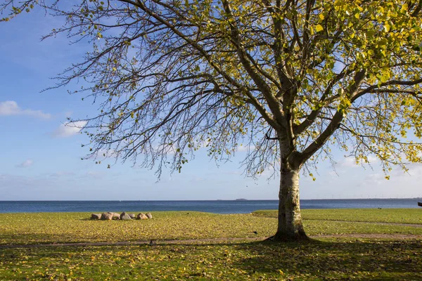 Autunno vista del parco sulla spiaggia di Cherlottenlund, Danimarca — Foto Stock