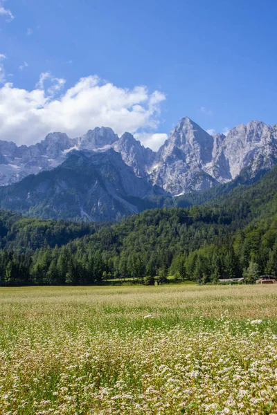 Julian Apls içinde moutain Spik muhteşem görünümü — Stok fotoğraf