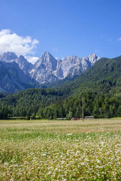 Julian Apls içinde moutain Spik muhteşem görünümü — Stok fotoğraf