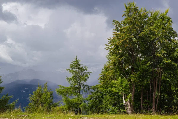 Літня вид на гірськолижний курорт Вогель в Словенії — стокове фото