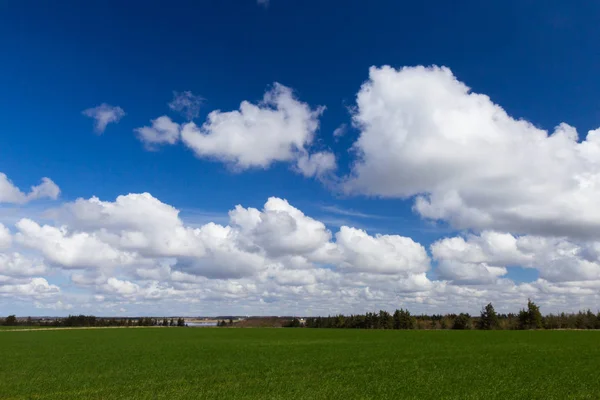 Piękne łąki na północ od Esbjerg, Jutlandia, Dania — Zdjęcie stockowe