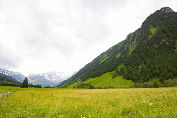 Pastviny v Alpách poblíž vysokohorské silnice — Stock fotografie