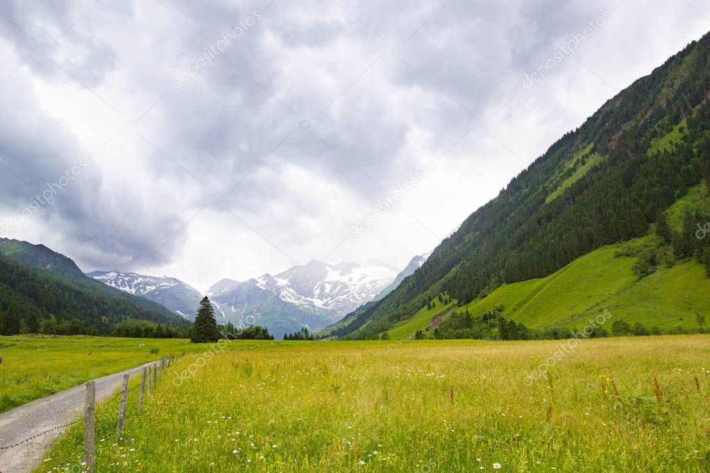 Pasture in Alps near high Alpine road