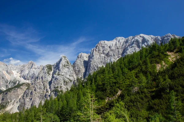 Lato w Triglavskiego Parku Narodowego, Słowenia — Zdjęcie stockowe