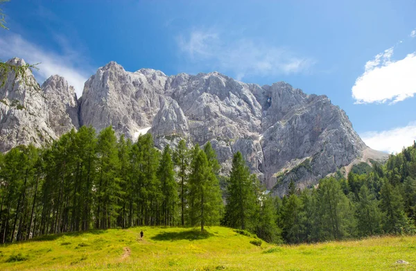 Verão no Parque Nacional de Triglav, Eslovénia — Fotografia de Stock