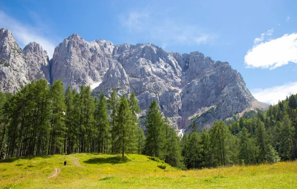 Zomer in het Nationaal Park Triglav, Slovenië — Stockfoto