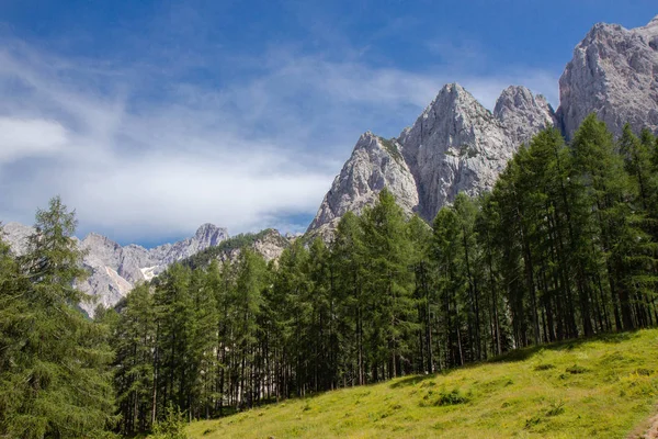 Verão no Parque Nacional de Triglav, Eslovénia — Fotografia de Stock