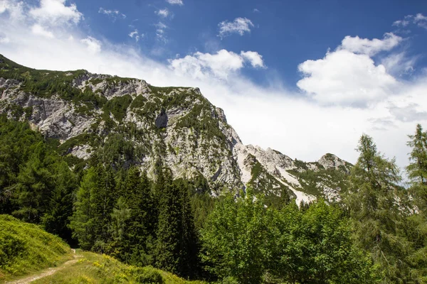 Triglav Ulusal Parkı'nda yaz, Slovenya — Stok fotoğraf