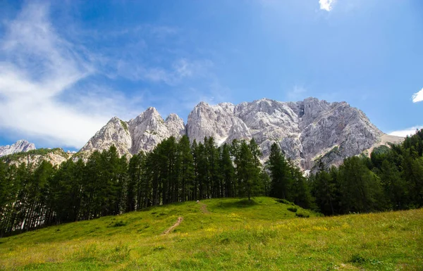 Sommar i Triglav nationalpark, Slovenien Stockbild