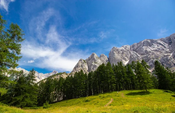 Verão no Parque Nacional de Triglav, Eslovénia Imagens Royalty-Free