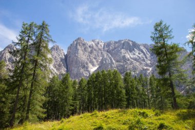  Triglav Ulusal Parkı'nda yaz, Slovenya
