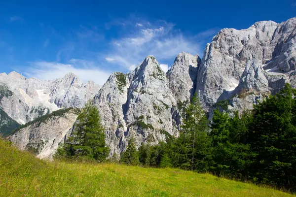 Lato w Triglavskiego Parku Narodowego, Słowenia — Zdjęcie stockowe