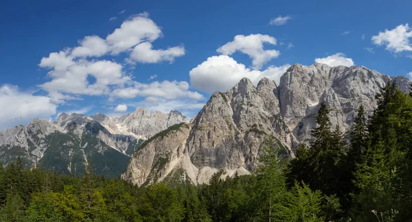 Літо в національному парку Triglav, Словенія — стокове фото