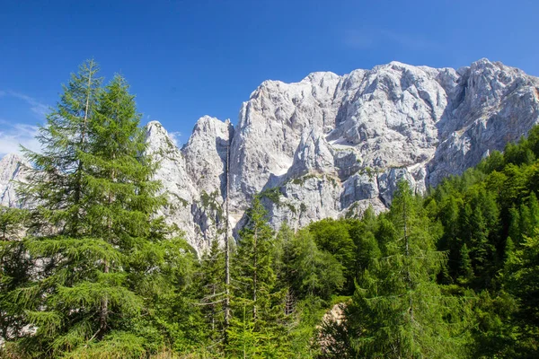 Triglav Ulusal Parkı'nda yaz, Slovenya — Stok fotoğraf