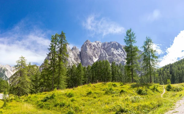 Sommar i Triglav nationalpark, Slovenien Stockfoto