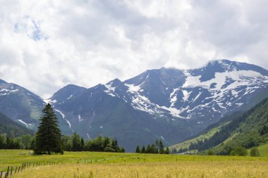 Tirol'deki Avusturya alplerinin yaz manzarası 