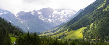 Tirol'deki Avusturya alplerinin yaz manzarası 