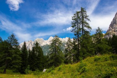 Julian Alps'in Vrsic Pass'ten görünümü, Slovenya