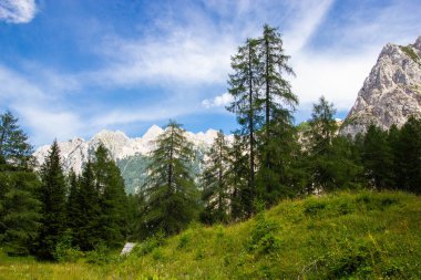 Julian Alps'in Vrsic Pass'ten görünümü, Slovenya