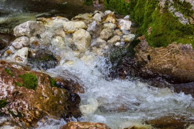 Julian Alps, Slovenya orman yoluyla akarsu