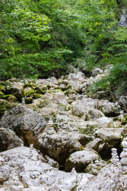 Julian Alps, Slovenya orman yoluyla akarsu