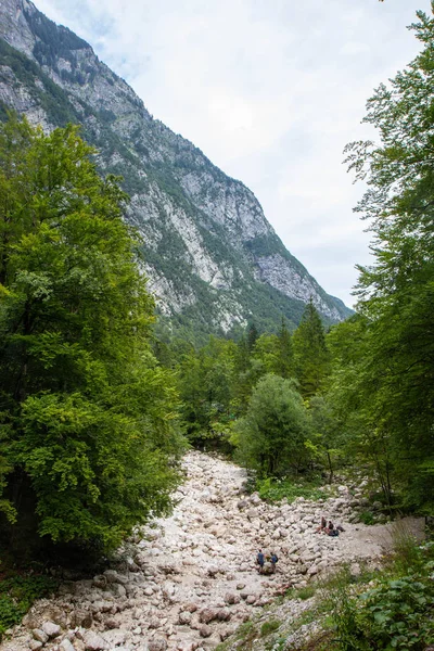 Ruisseau à travers la forêt dans les Alpes Juliennes, Slovénie — Photo