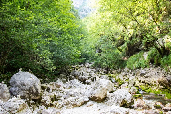 Córrego através da floresta em Julian Alps, Eslovénia — Fotografia de Stock