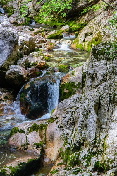 Sungai melalui hutan di Julian Alps, Slovenia — Stok Foto