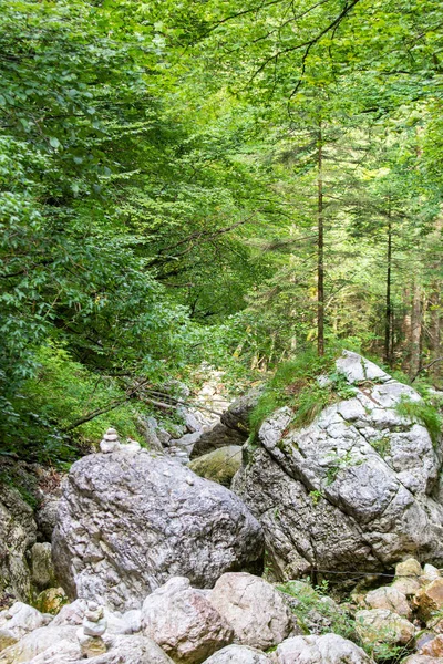 Potok v lese v juliánském Alpách, Slovinsko — Stock fotografie