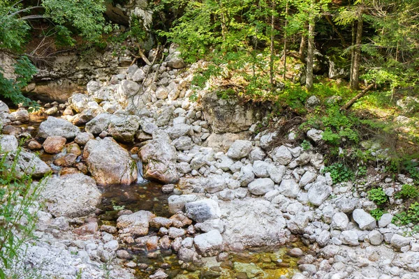 Torrente attraverso la foresta nelle Alpi Giulie, Slovenia — Foto Stock