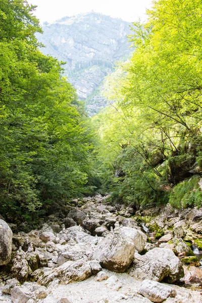 Arroyo a través del bosque en los Alpes Julianos, Eslovenia —  Fotos de Stock