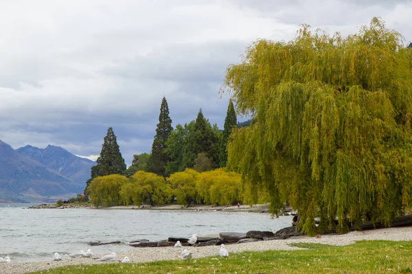 Lagos del lago Wakatipu en Queenstown, Nueva Zelanda — Foto de Stock