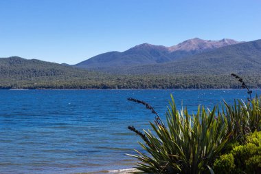 Te Anau gölü görünümü, Fiordland, Yeni Zelanda