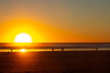 Piha plajında gün batımı, North Island, Yeni Zelanda