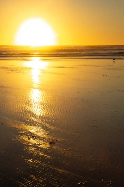 Sunset at Piha Beach, North Island, Nya Zeeland — Stockfoto