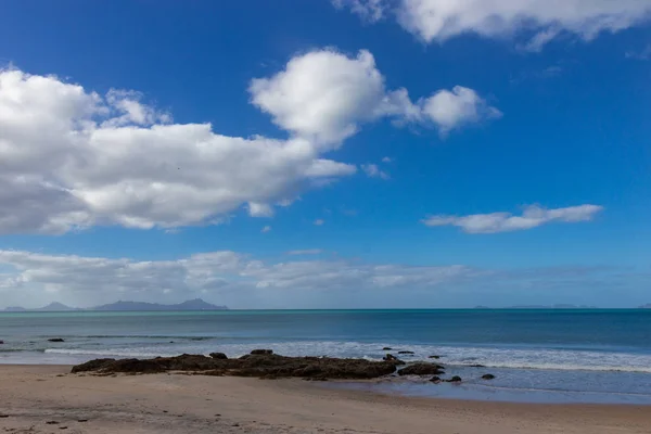 新西兰威普海滩的粉红色海藻 — 图库照片