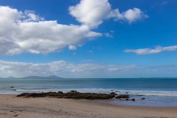 Algas rosadas en la playa de Waipu, Nueva Zelanda —  Fotos de Stock