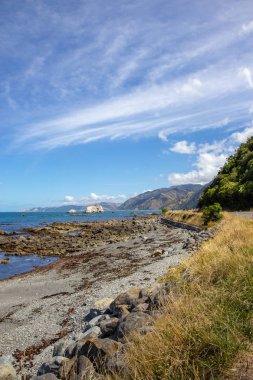 Kaikoura yakınlarındaki muhteşem deniz manzarası görünümü, Yeni Zelanda