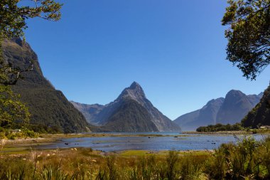 ünlü Mildford Sound, Yeni Zelanda fiyort görünümü