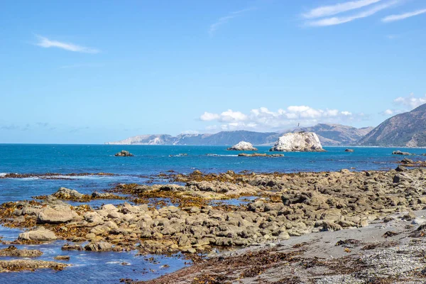 Increíble vista del paisaje marino cerca de Kaikoura, Nueva Zelanda — Foto de Stock